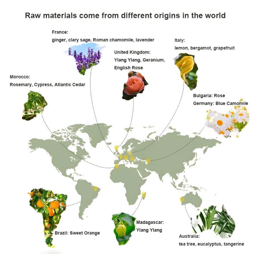 World map with various plants and their origins labeled on a white background
