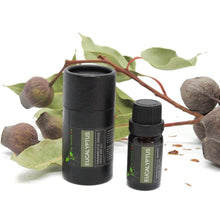 Load image into Gallery viewer, packaging cylinder with open eucaluptus essential oil bottle and gumnuts in the background
