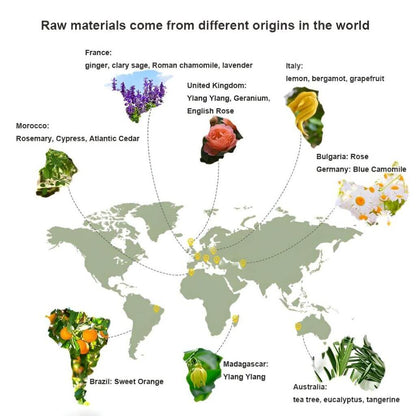 World map with various plants and their origins labeled on a white background